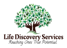 Life Discovery Services