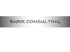 Burr Consulting